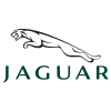 jaguar-colored